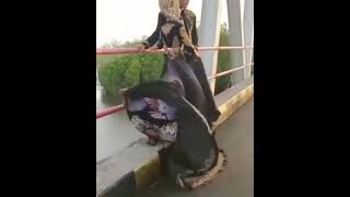 Download lagu Menang banyak nih😂#shorts mp3