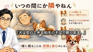 【保護犬と暮らして気づいたこと】家族になって、はや1年。犬は私の健康も支えてくれていた。｜犬猫健康ケア