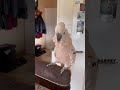 Barney Loves Making Noise With Dad Hey There S Puppies On Your Phone Dad ️