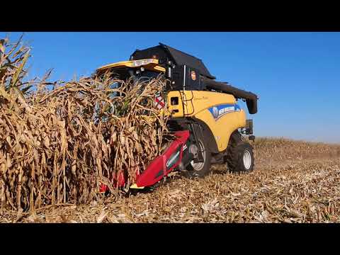 Unser Bauernhof Folge 10: Körnermaisernte