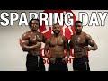 A day in the life| Sparring, lifting and waffling