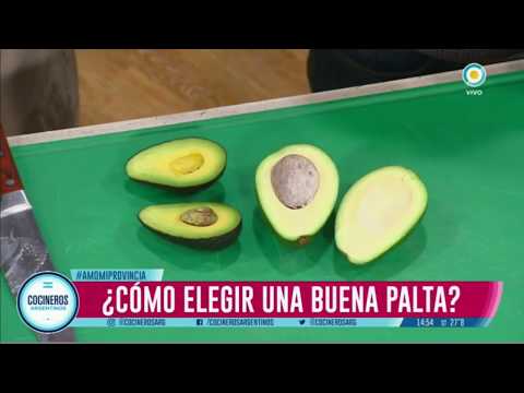 Todo sobre la palta