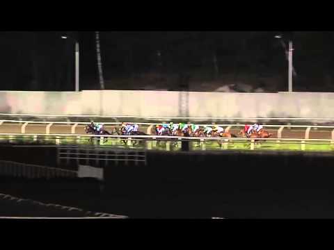 2015.08.31 Breeders' Trophy Classic (SWE) - Dark Eagle