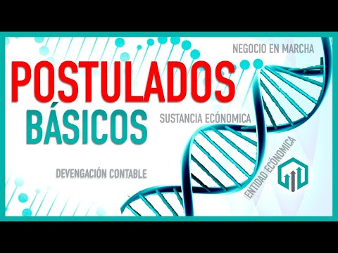 BASIC ACCOUNTING POSTULATES | NIF A1 COURSE - CHAPTER 20