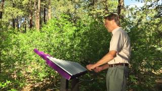 Freenotes Weenotes Ensemble video thumbnail 5