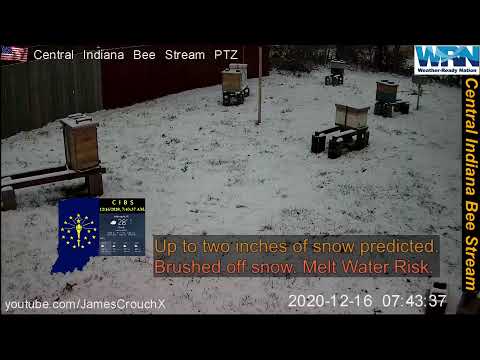 -= Early Snowy Bee Yard - =- 2020/12/15-16 ~ Night Time