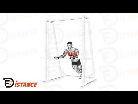 Pompes inclinées prise inversée - Exercice Pompes inclinées prise inversée en vidéo