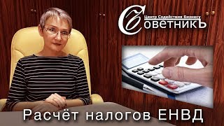 Как рассчитать налоги ЕНВД