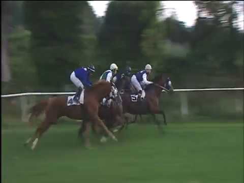 Galoppo 19/10/2017 - 7ª corsa