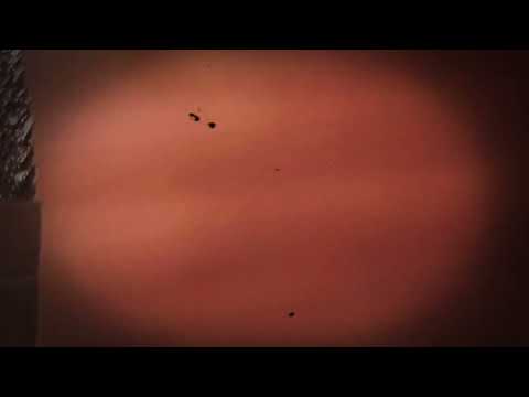 Rewus x Szybki - Do jutra