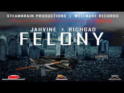 Jahvine ft Rich Gad - Felony