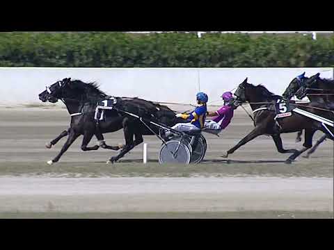 Napoli Trotto 05/09/2023 - 2ª corsa