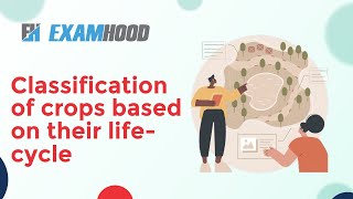 Classification of crops based on their life cycle