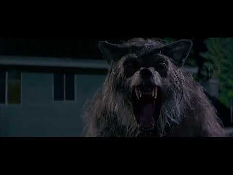 Bad Moon (1996) - Thor Attacks The Werewolf Scene