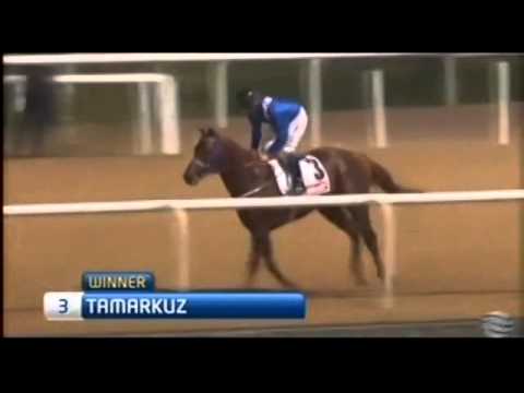 22.01.2015 Meydan (Dubai/UAE) 5.Race Gulf News Tabloid - Handicap 1.600 m