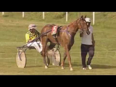 Derby trotto 2016 - un sogno dipinto di azzurro da "Canter" del 6/10/2016