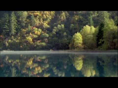 Chicane-Autumn Tactics