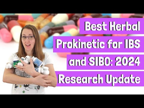 Bestes pflanzliches Prokinetikum für IBS und SIBO 2024 Forschungsupdate