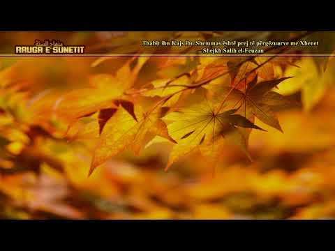 Thabit ibn Kajs ibn Shemmas është prej të përgëzuarve me Xhenet – Shejkh Salih el-Feuzan