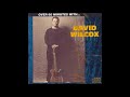 David Wilcox Bad Apple