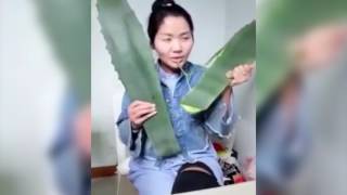 PANICKED  WOMAN ABANDONS LIVE STREAM AFTER REALISING PLANT IS POISONOUS