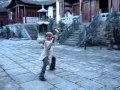 Wudang Bagua Zhang Fan Form