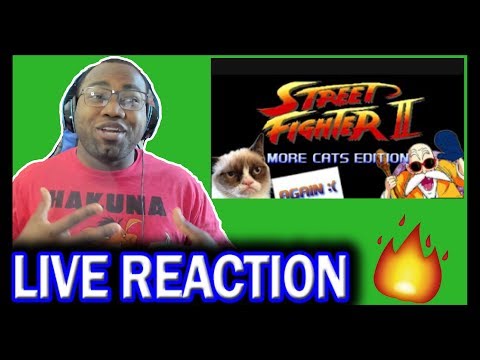 Street Fighter More Cats Edition REACTION