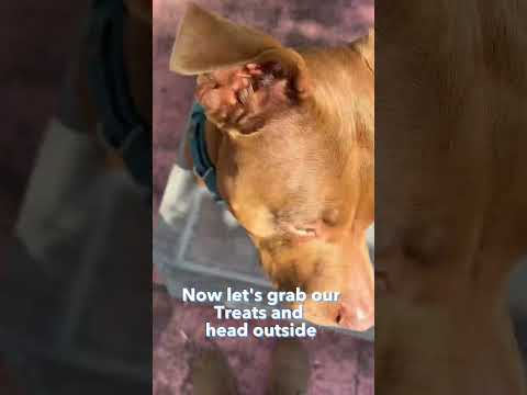 Step into wellness: Povidone Iodine and Epsom salt soak