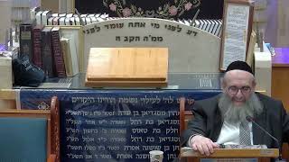 הרב יהושע ויזגן מסכת חולין דף מד עמוד ב' המשך (בית הכנסת מוסאיוף) - התמונה מוצגת ישירות מתוך אתר האינטרנט יוטיוב. זכויות היוצרים בתמונה שייכות ליוצרה. קישור קרדיט למקור התוכן נמצא בתוך דף הסרטון