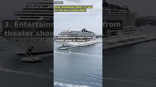Cruise Life