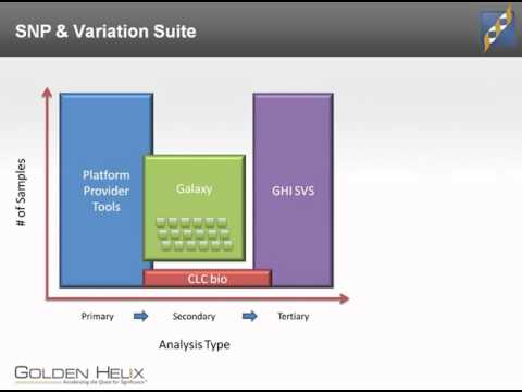 SVS 7.4 - Next-Generation Sequencing overview