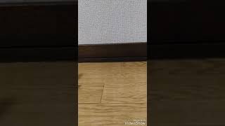 新しいアカウントでYouTube復活します！！