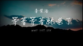 Li Rong Hao 李荣浩 等着等就老了 Wait Till Old  (歌词 拼音 Chinese and Pinyin Lyrics)