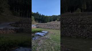 【島根県・浜田市旅2026年9月〜10月】【ショート】都川(熊ヶ谷)の棚田に行ってみた!【なみよし旅】