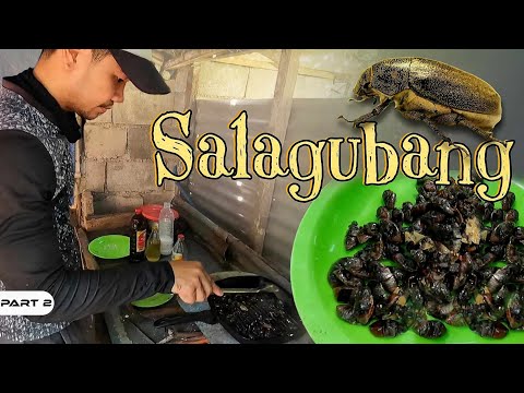 P2-NAKATIKIM KA NA BA NG SALAGUBANG? - EP1371