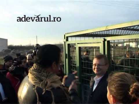 Steven Seagal a adoptat un maidanez de la Dogtown - Uzunu, Giurgiu, România