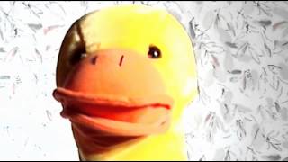 Sugar Sugar - The Archies (Cover) - The Singing Duck of Queens