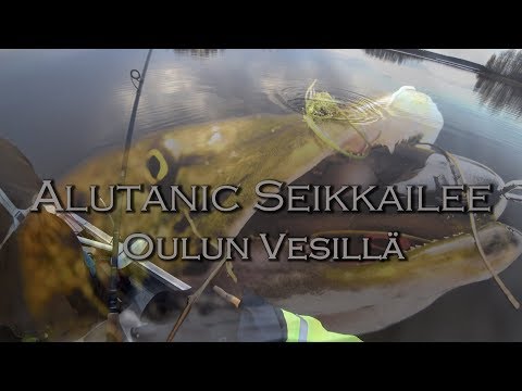 Hauen Kalastusta Haukiputaalla Alutanicilla ( Oulun Kalapaikat / Hauenkalastus / Jerkkaus )