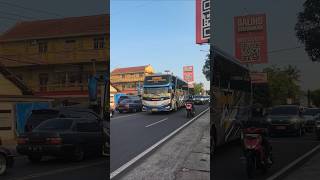Download lagu BUS SUGENG RAHAYU GAGAL BLONG KANAN 🤣🤘. #busmania #bussugengrahayu #sugengrahayu #busekonomi #bus mp3
