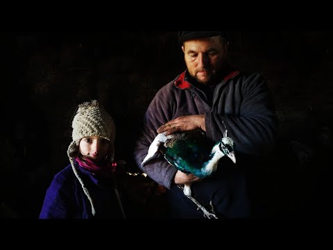 Workshop a Tulipános Tanyán - önellátás tanyán 🐂 2020.09.13.