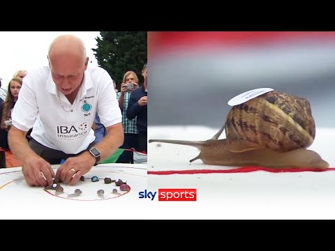 Snail Racing World Championship | Weird Sports