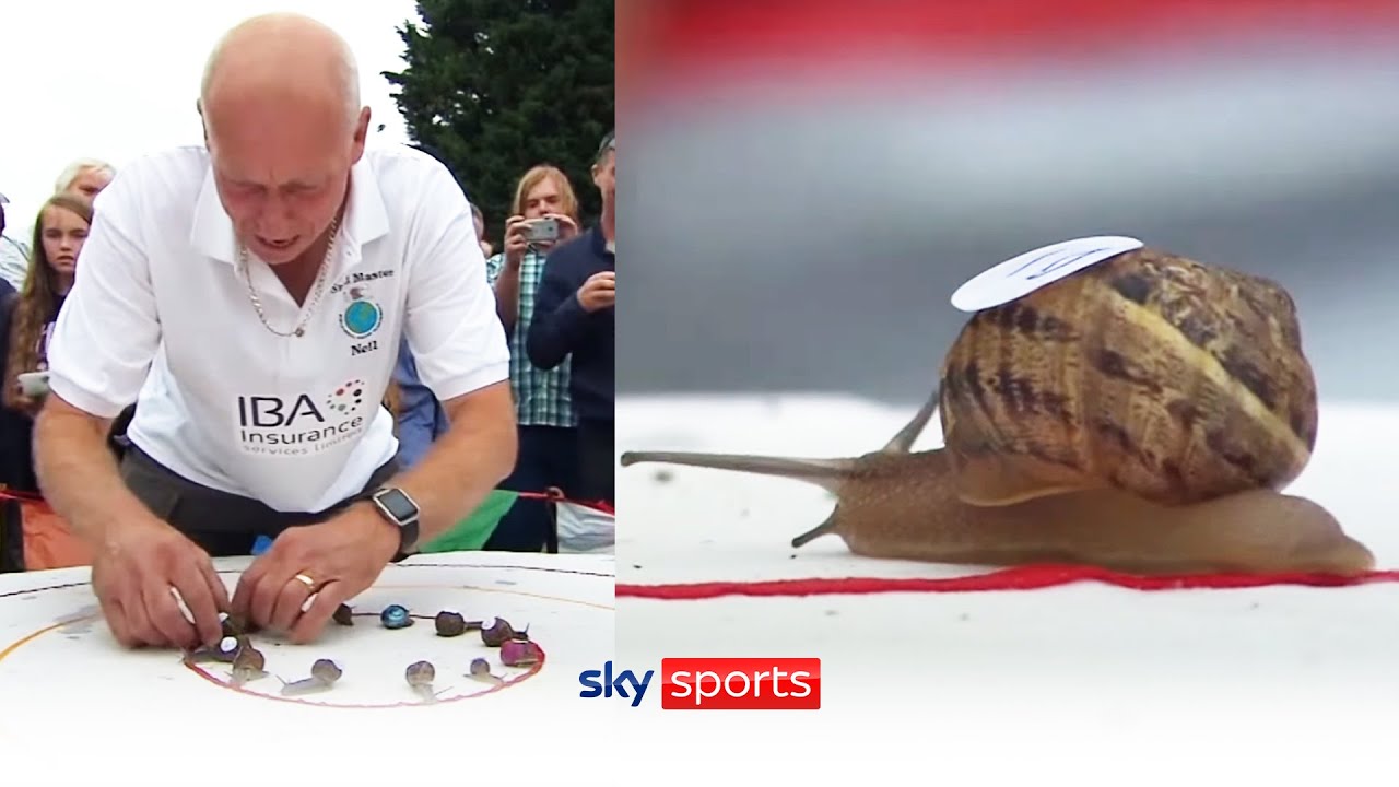 Snail Racing World Championship | Weird Sports