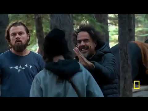 Before The Flood