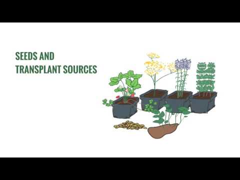 Organic Sound and Sensible Project - Inspection The Basics