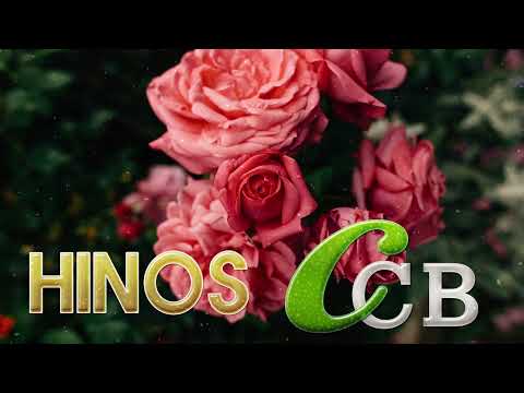 Hino 232,260,115,441 -  CCB Lindos Hinos Cantados -  Congregação Cristã no Brasil