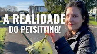 MINHA ROTINA DE PETSITTING | VIAJE DE GRAÇA CUIDANDO DE ANIMAIS