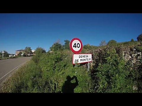 Dehesa de Montejo