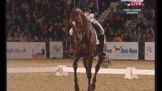 Video koně Potomac 4