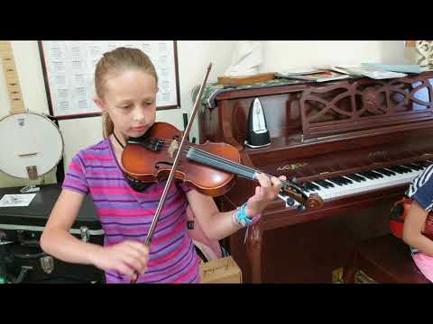 I Don't Love Nobody - #fiddle