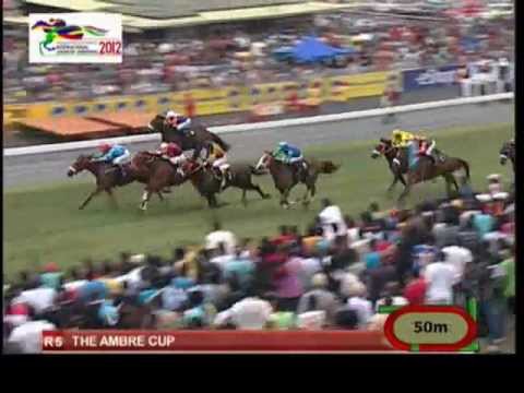 Season 2012 - Meeting 38 - Race 5 - AZAPEL - H. Bowman - iDates.mu - Turf Mauritius